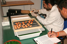 Control de incubadora Control de incubadora