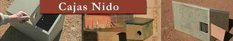 Cajas Nido para Cernícalo Primilla